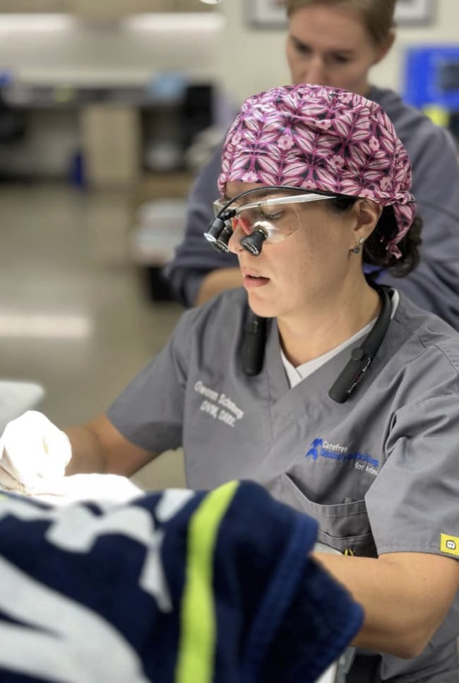 Dr. Gwenn Schamberger