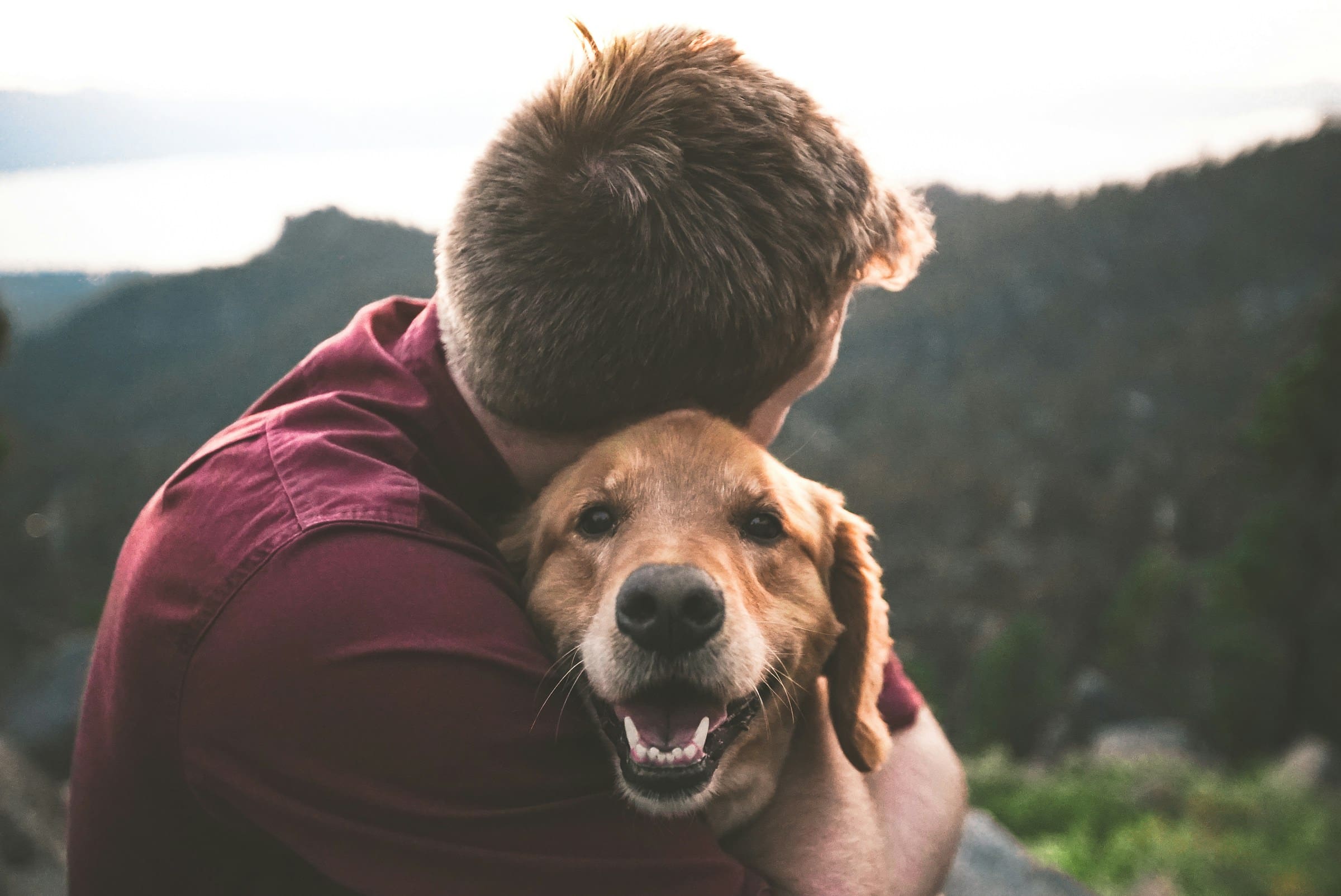 Exploring the deep bond between pet and owner during a comforting hug. ?? Discover how our Pet Oral Surgery Guide helps ensure their health and happiness. ? #PetLove #PetHealth Photo by Eric Ward, Unsplash.