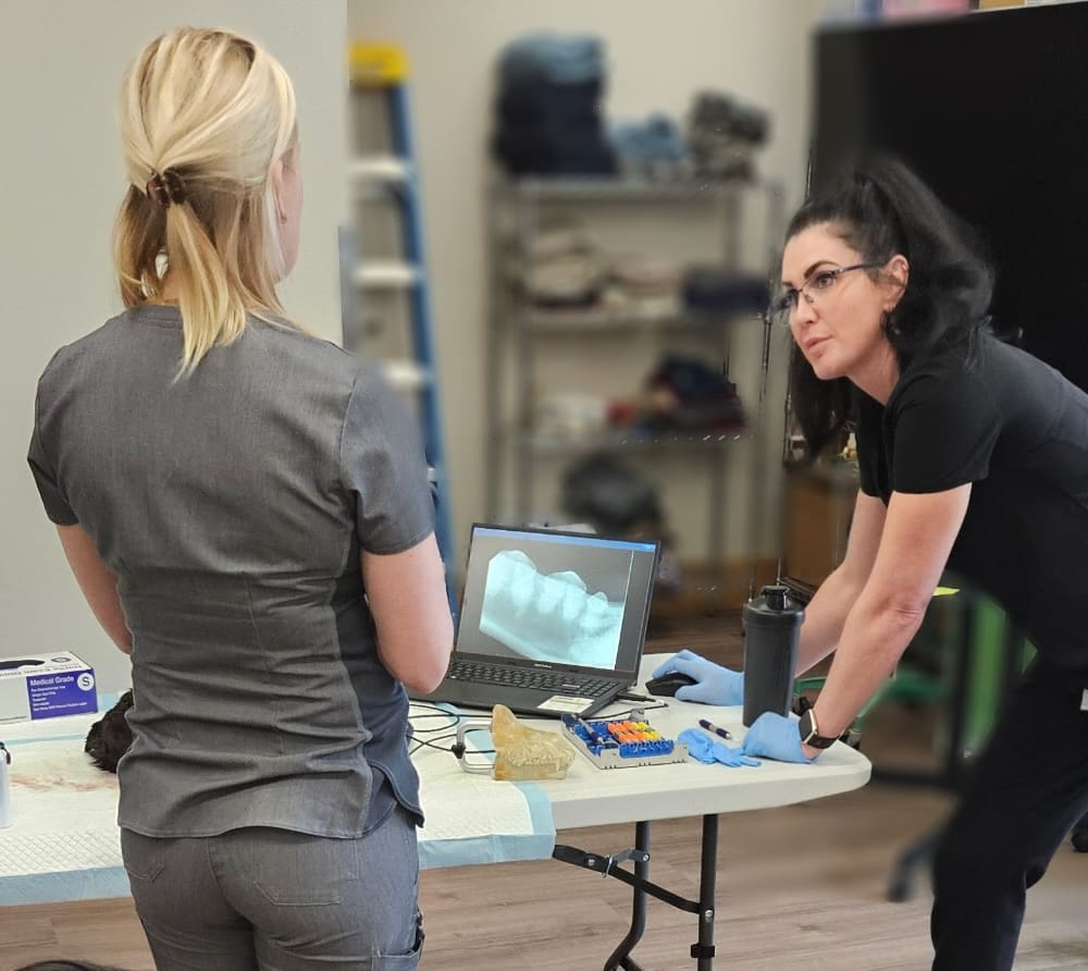 Laurn Beck, RVT, VTS (Dentistry) teaching a student.